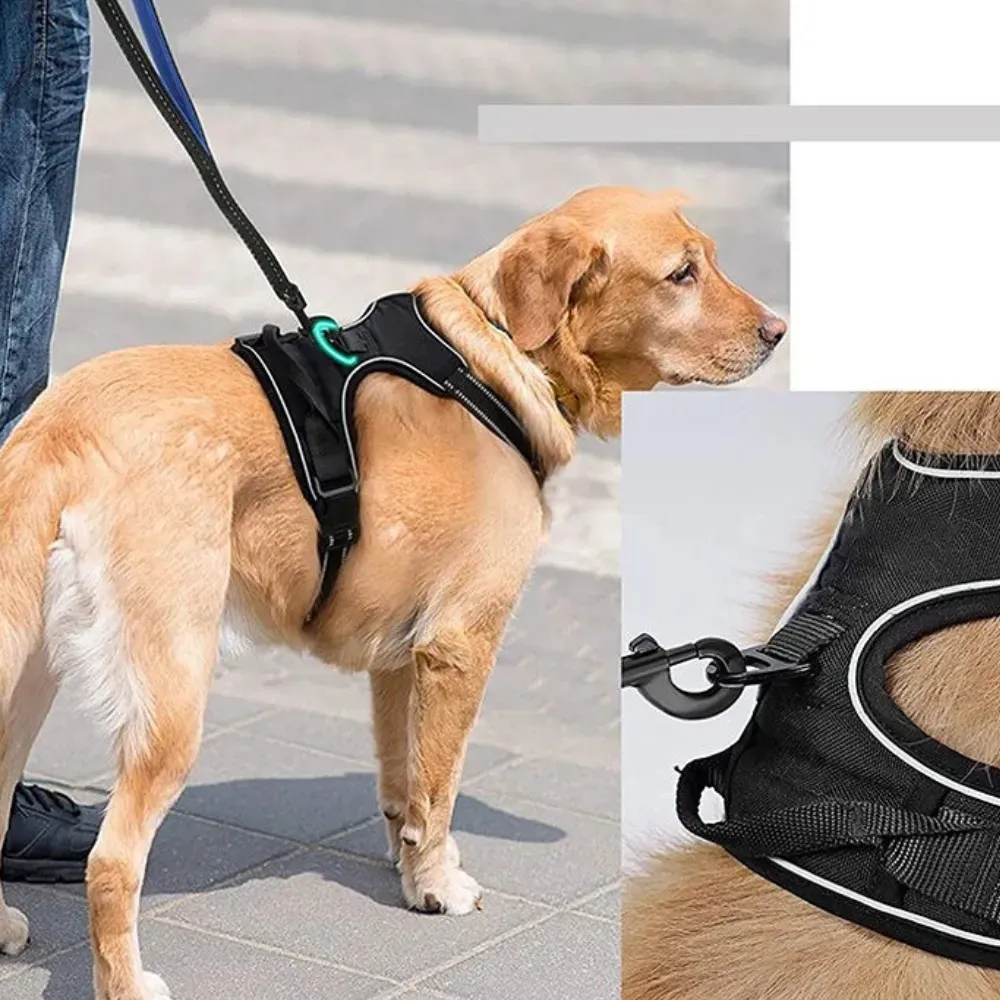 Easy On and Off with Quick Adjustable Straps: This harness features adjustable straps that make putting it on and taking it off quick and easy, saving time for busy pet owners.