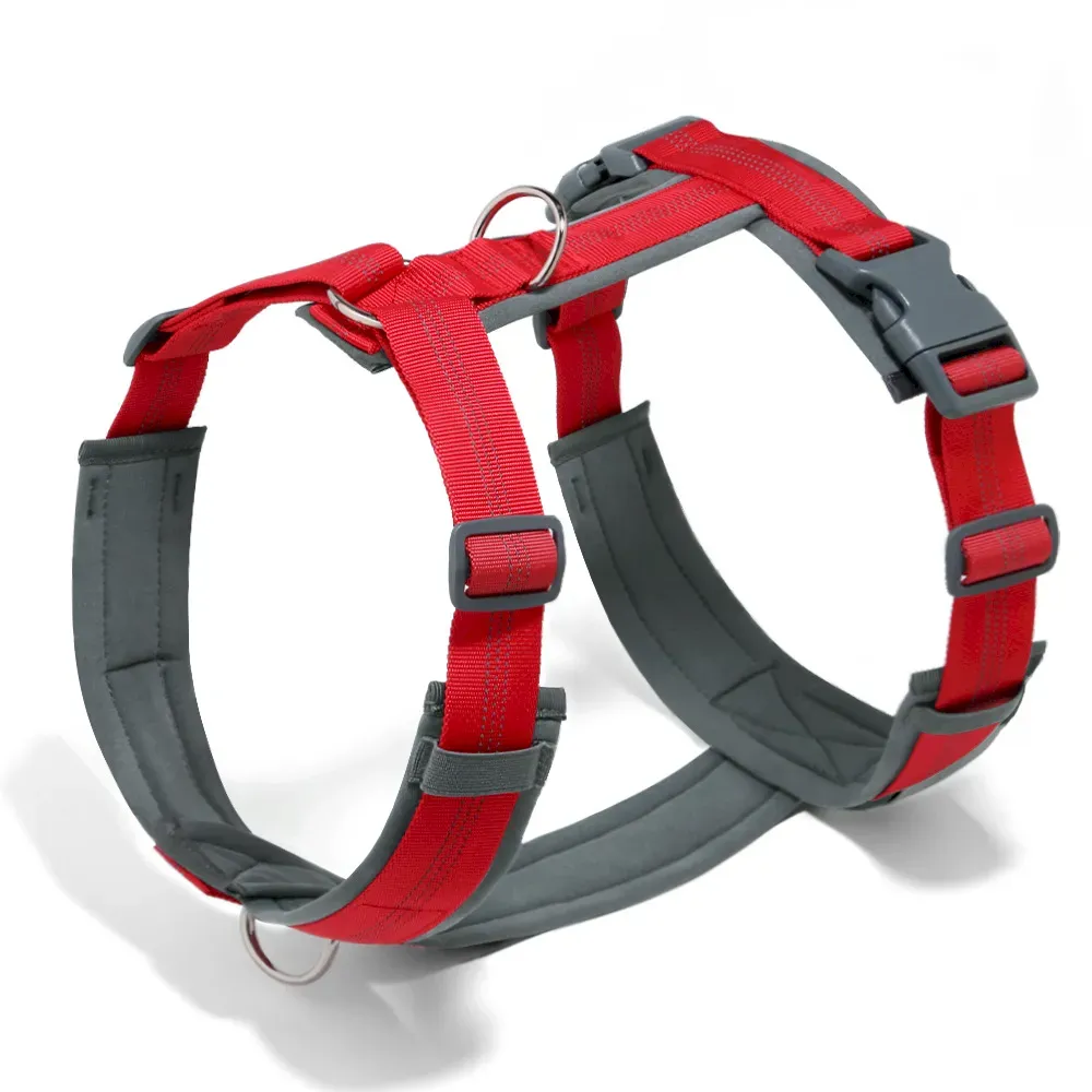 Premium Adjustable Dog Walking Set, Anti-Pull Fabric