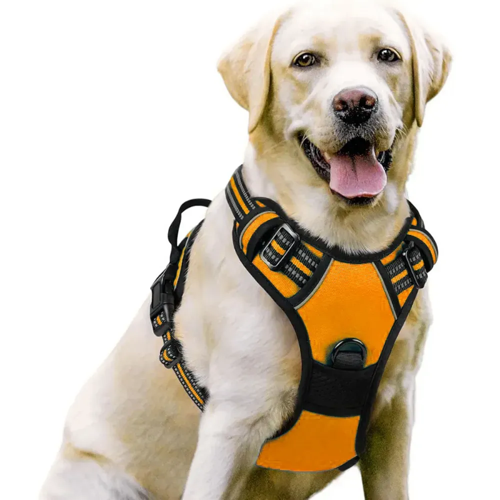 Multi-Use Harness for Active Pets: Ideal for a variety of activities, including daily walks, training sessions, and outdoor adventures, this harness provides a secure and comfortable fit for active dogs.