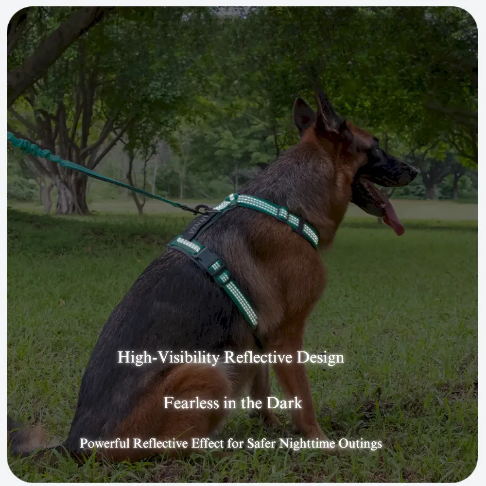 Heavy-Duty Anti-Pull Dog Harness and Leash Set