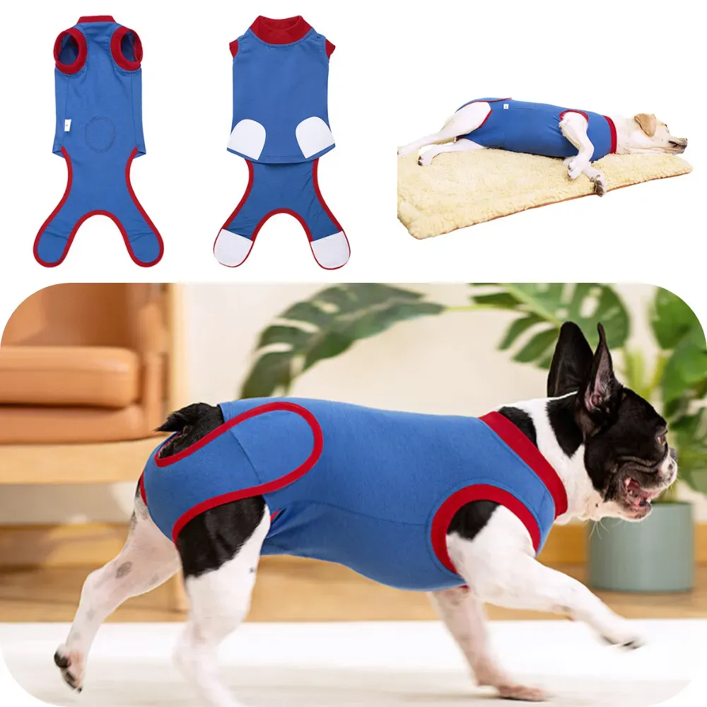 Recovery Suit for Dogs