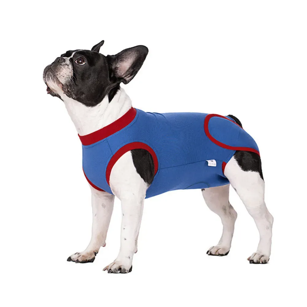 Blue Recovery Suit for Dogs