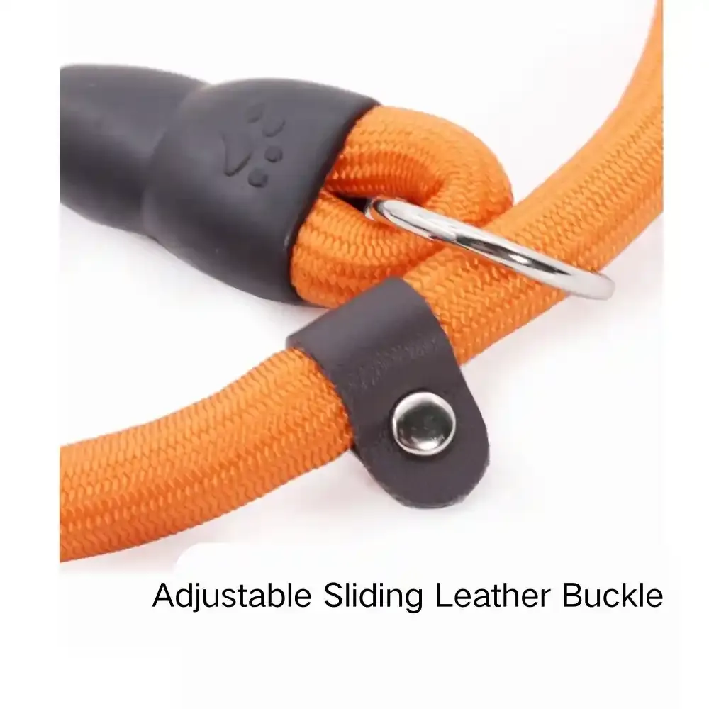 Dog Slip Collar For Sale