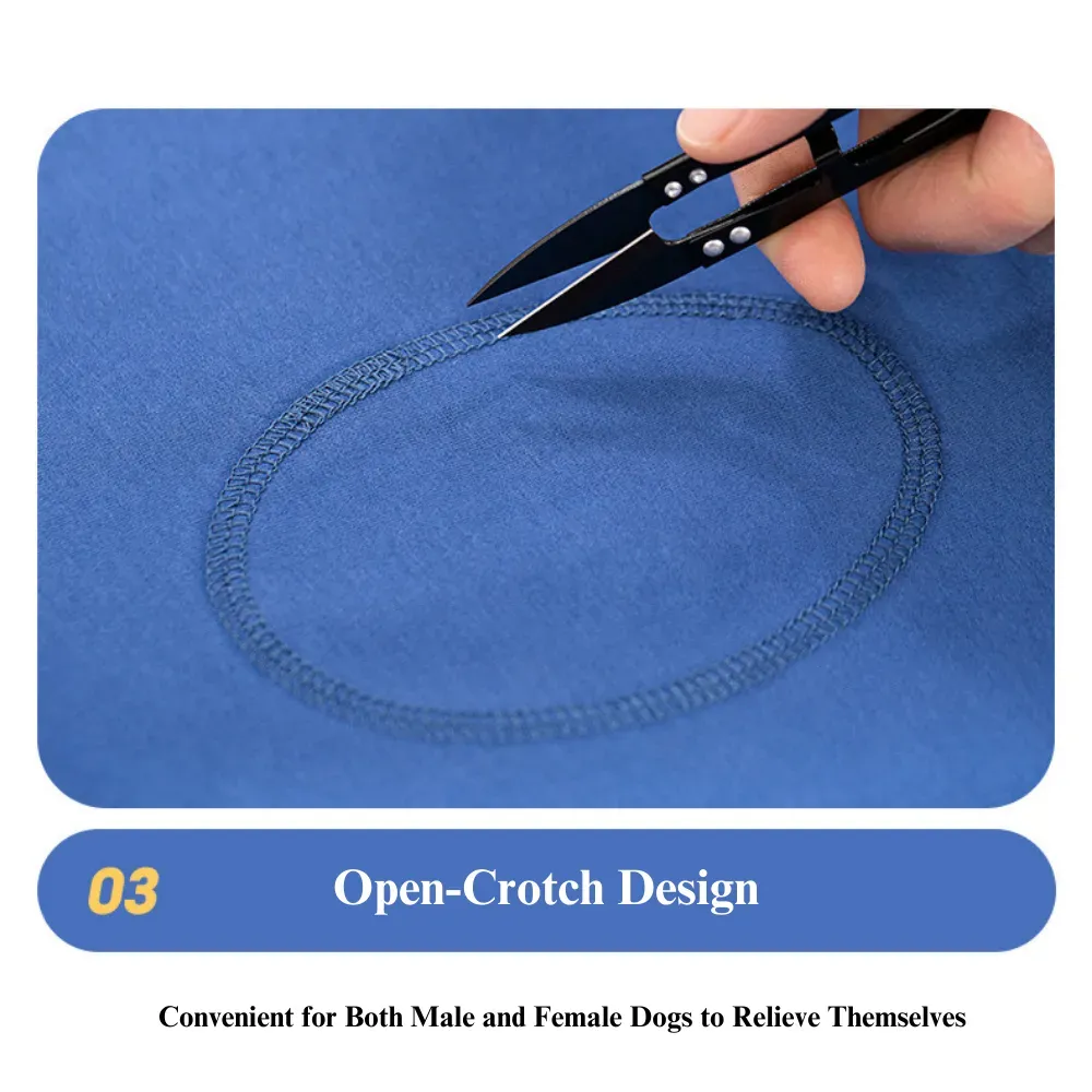 Blue Recovery Suit for Dog