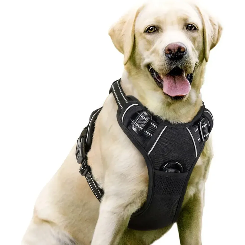 Prevents Pulling with Even Pressure Distribution: The harness is designed to distribute pressure evenly across the dog’s chest and shoulders, preventing choking and reducing the tendency to pull.