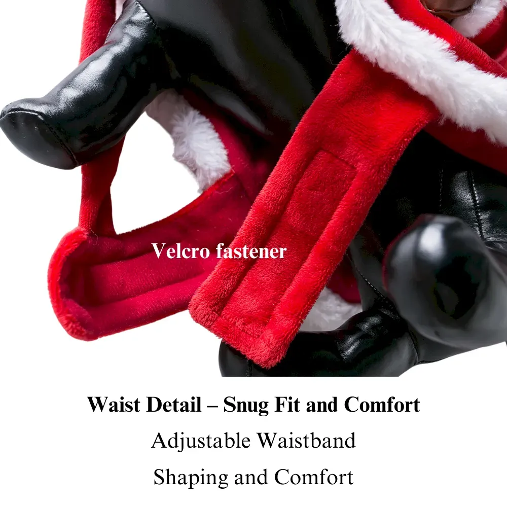 Christmas Santa Costume for Big Dog Breeds