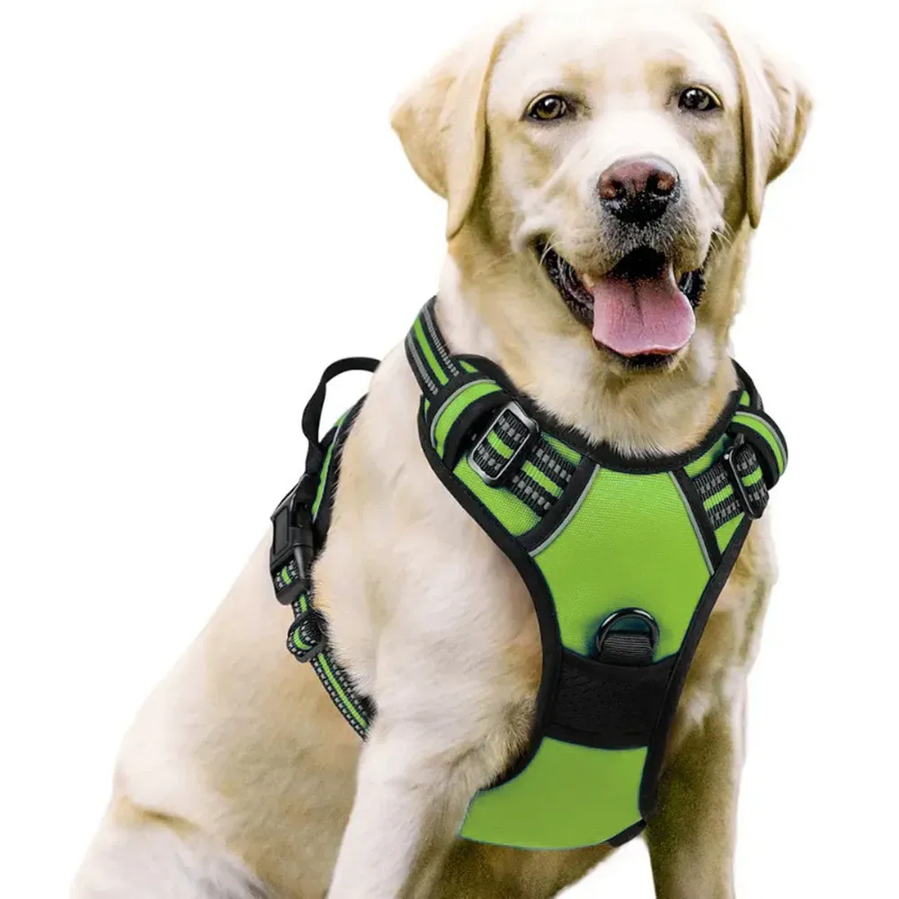 Comfortable for Long Walks: The breathable nylon fabric ensures comfort during long walks, keeping pets cool and preventing overheating, while the adjustable design guarantees a secure and comfortable fit.