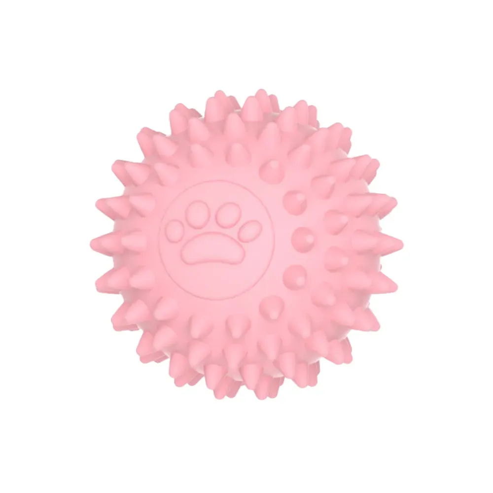 Dog Chew Ball with Paw Print for Dental Health