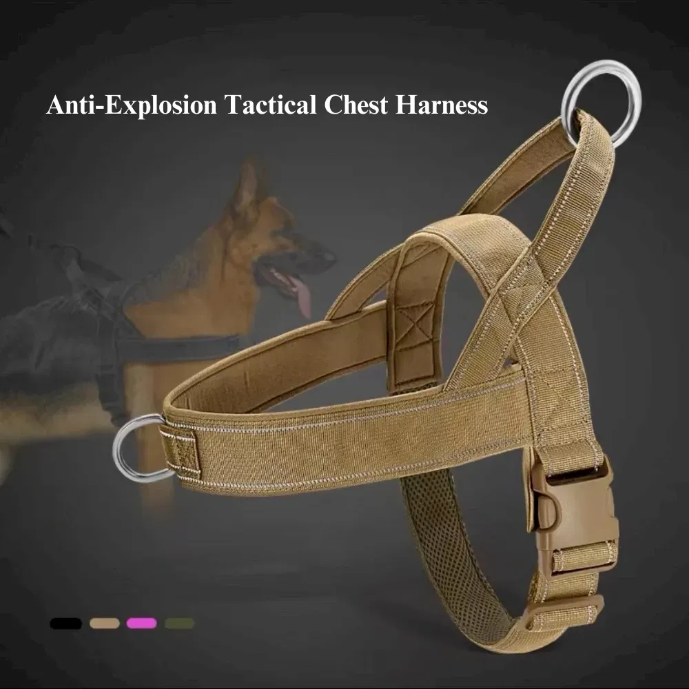 Shock-Absorbing Elastic Dog Car Leash