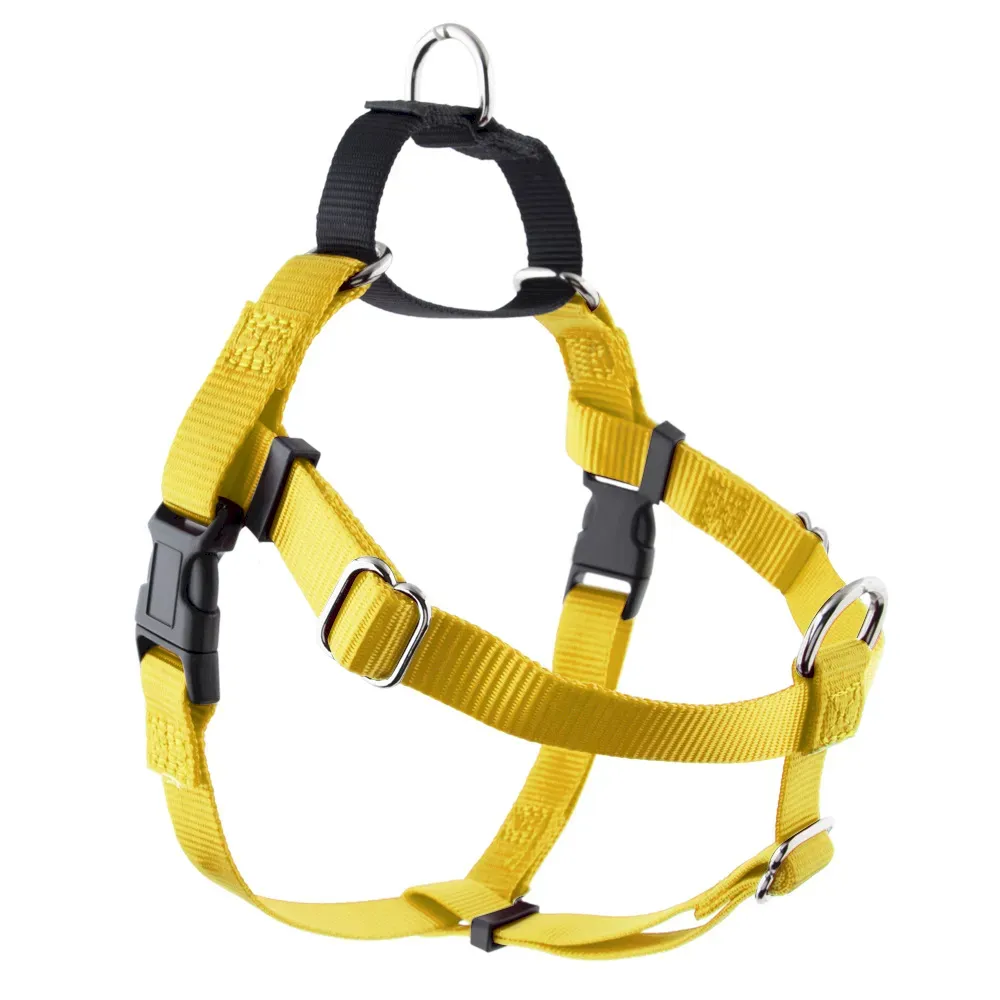 Durable Dog Vest Harness for Walking