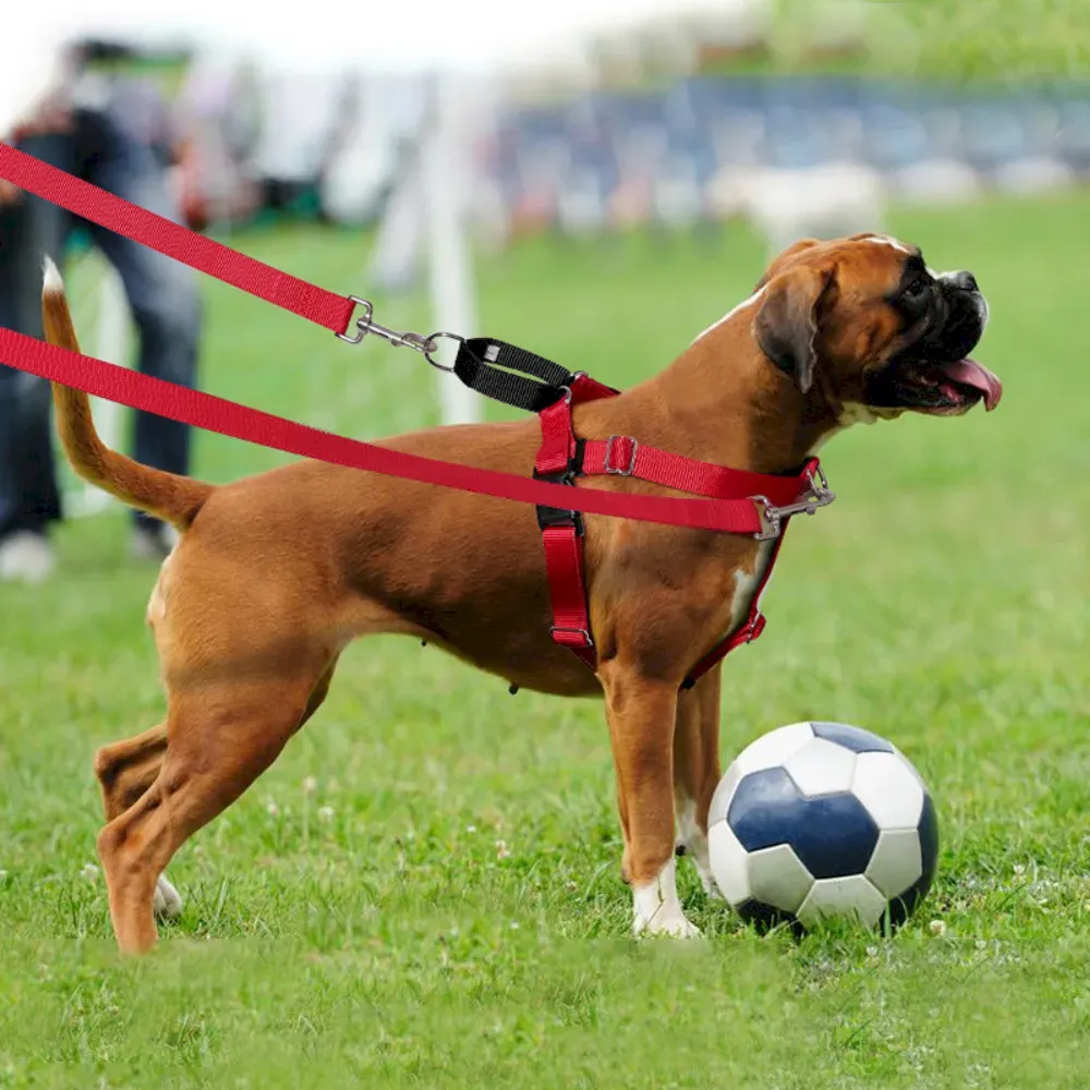 High-Quality Large Breed Dog Vest Harness