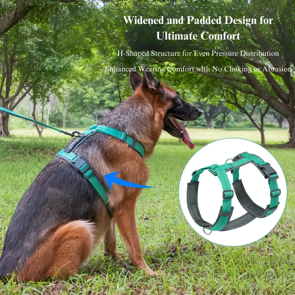 Best Adjustable Dog Harness and Leash Set for All Breeds