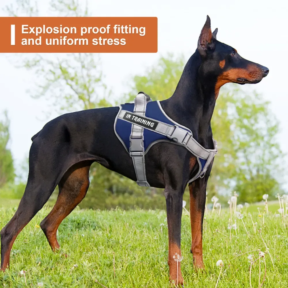 Rugged Design for Long-Term Durability: With its rugged construction, this harness and leash set can withstand heavy-duty use, providing reliable performance over time without wearing down.