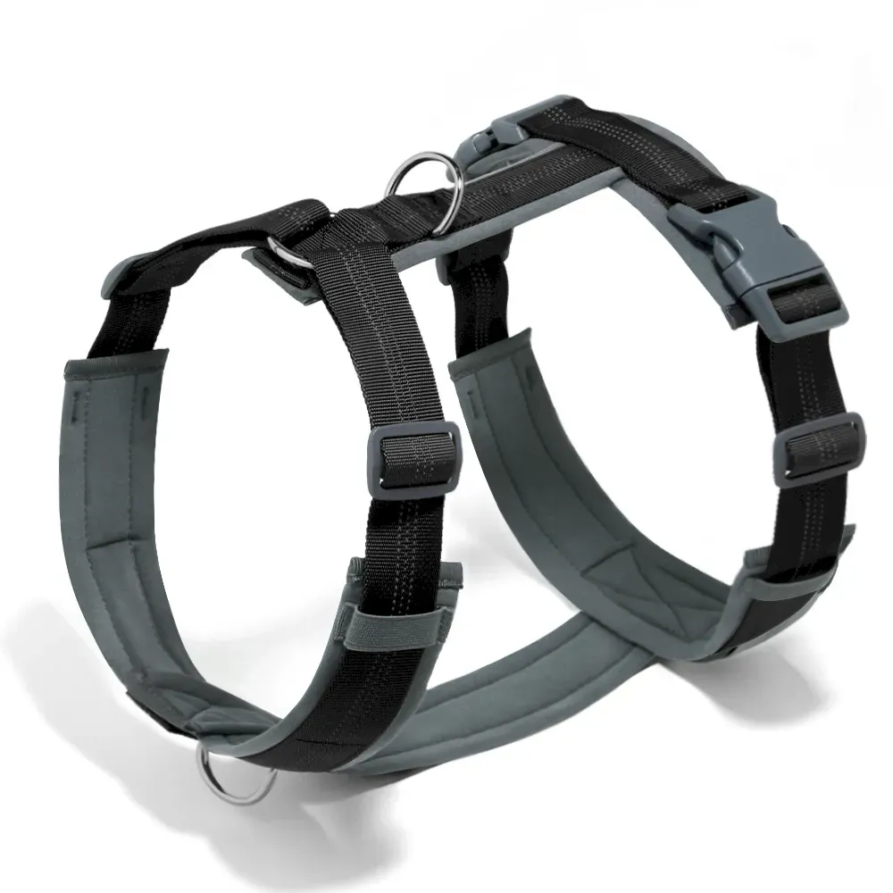 Breathable Diving Fabric Dog Harness and Leash Set