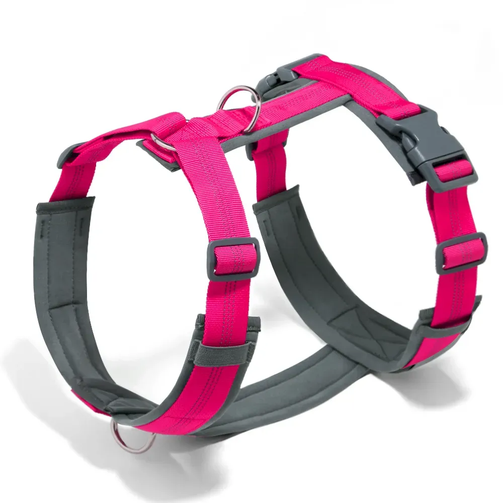 Anti-Pull, Breathable Dog Harness and Leash for Walks