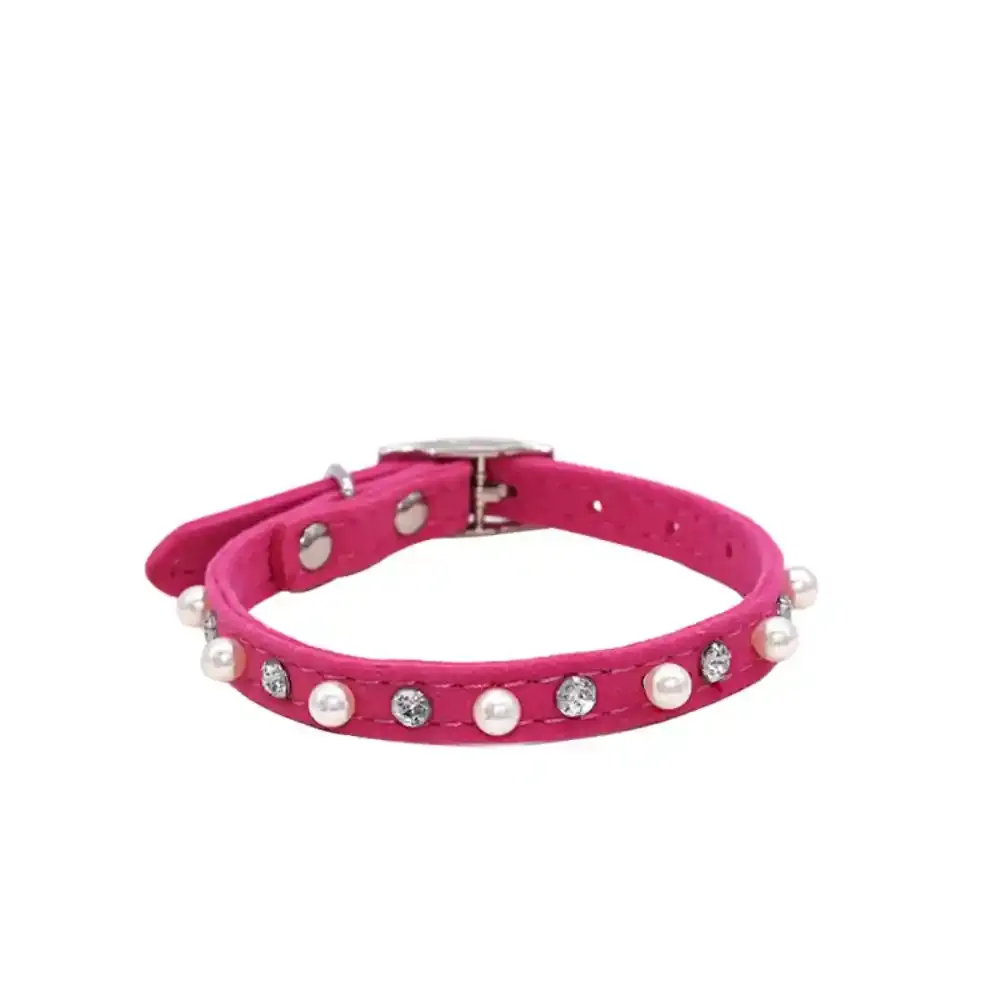 Cat Collar Supplier