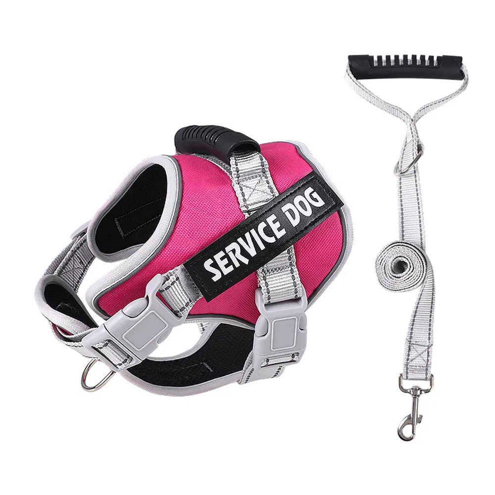 Ergonomic Design for Long Walks: The ergonomic design of the harness ensures that pets stay comfortable during long walks, reducing the risk of chafing and discomfort from extended use.
