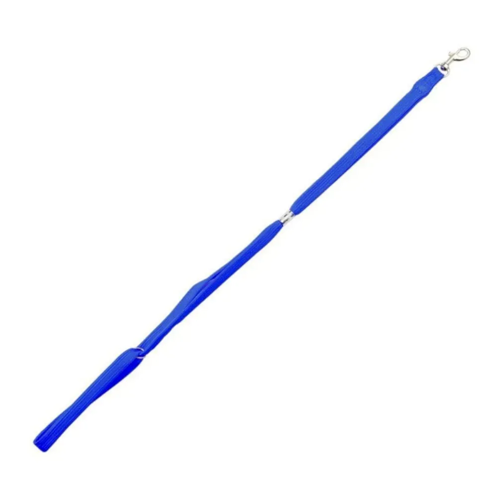 blue pet grooming leash blue pet grooming leash