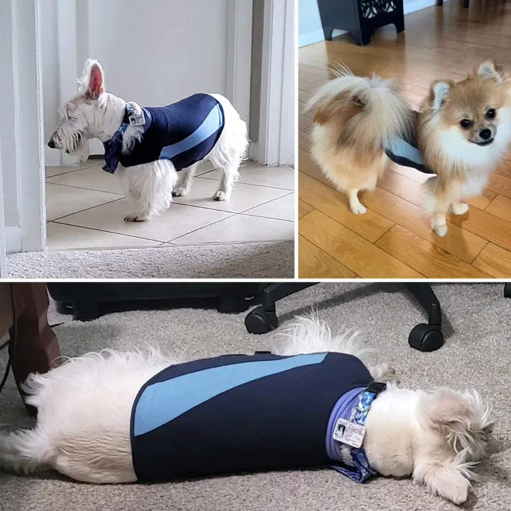 Wholesale Calming Dog Clothes