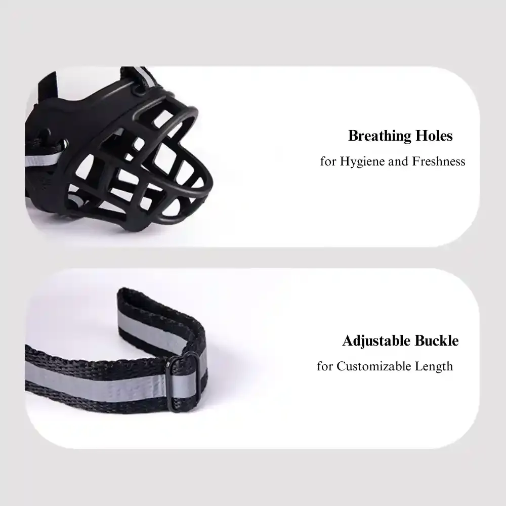 Dog Muzzle Details