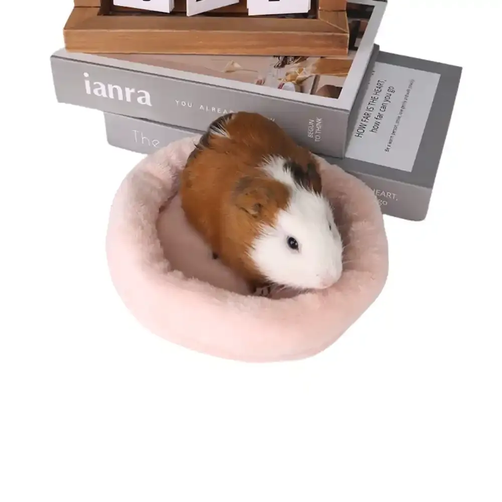 Soft Hamster Bed Export
