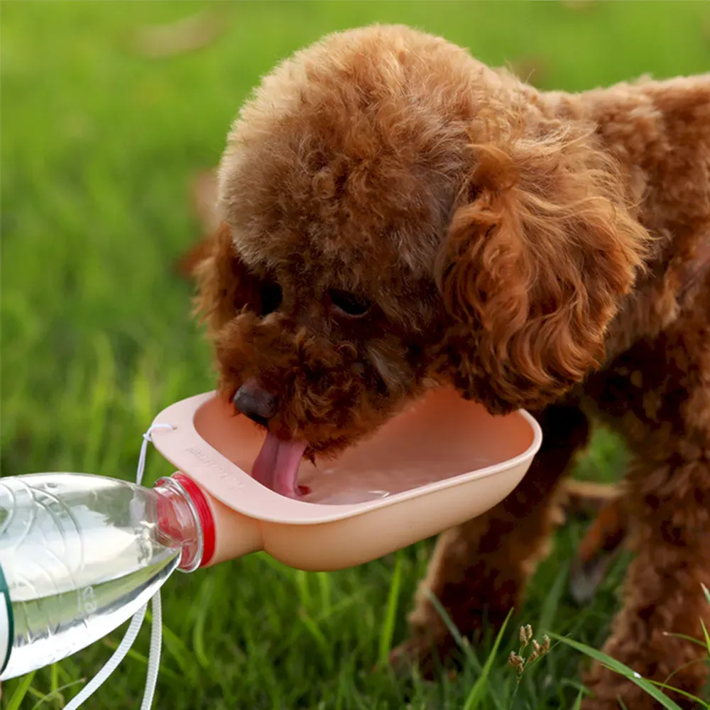 dog water bottle attachment wholesale