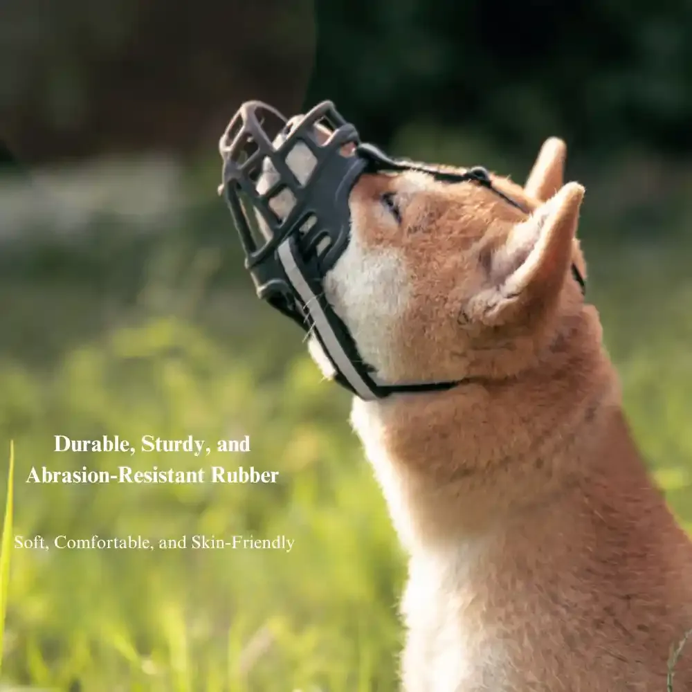 Dog Muzzle Wholesaler