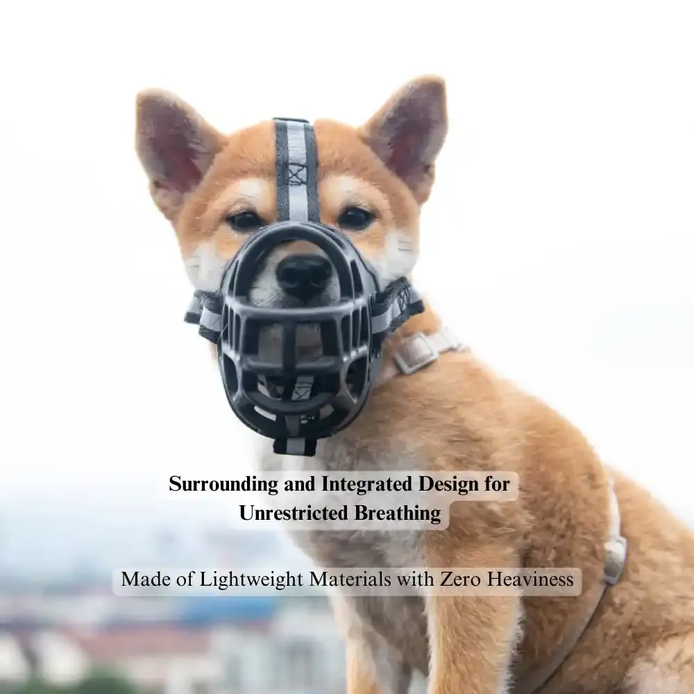 Dog Muzzle Supplier