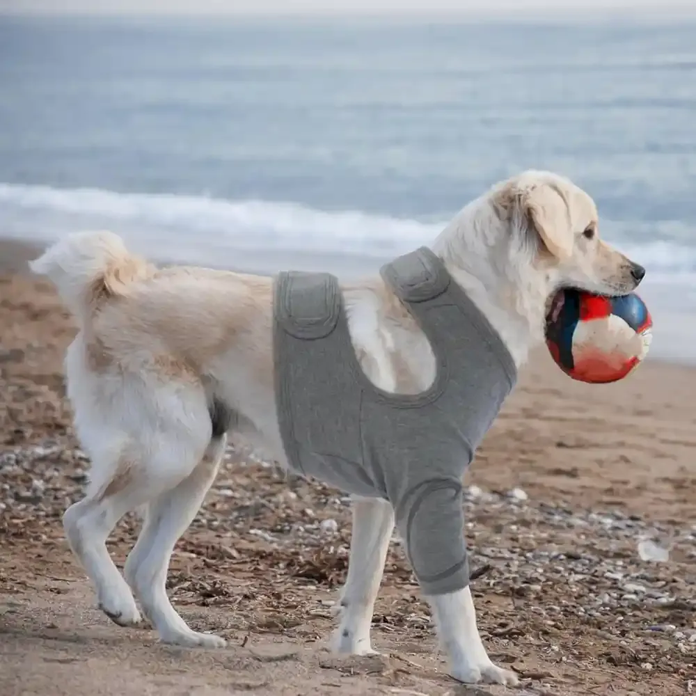Dog Recovery Sleeves