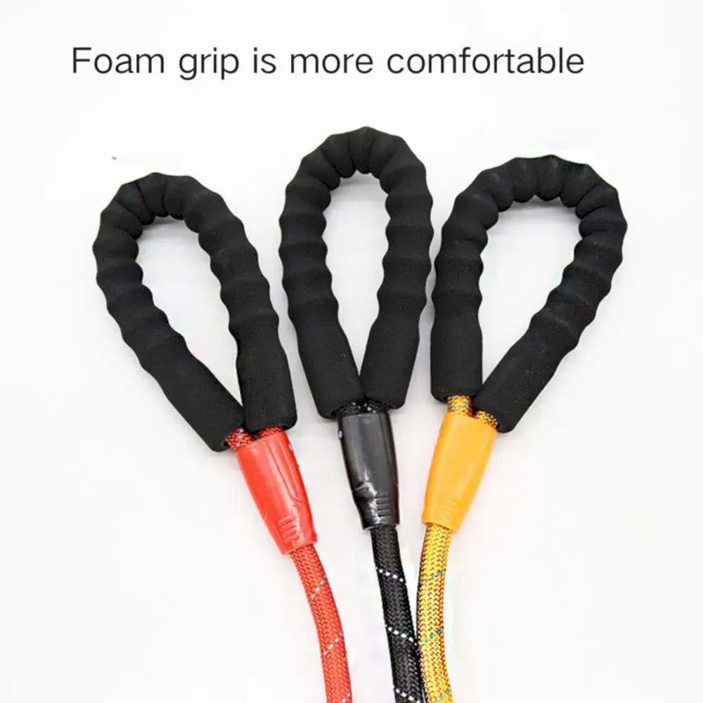 nylon dog leash bulk