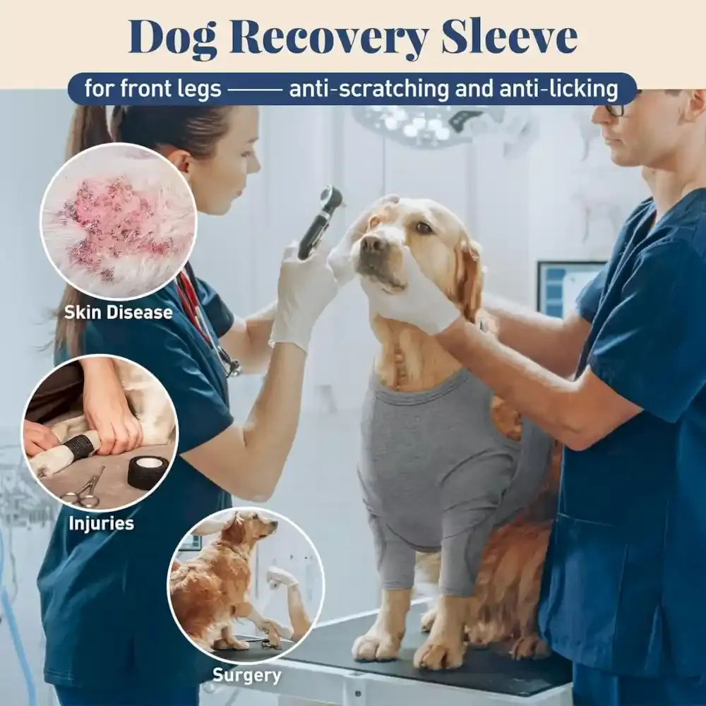 Dog Recovery Sleeves Wholesalers