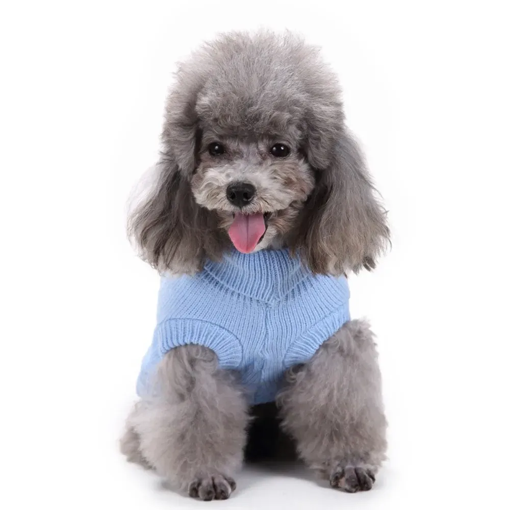 This durable knit sweater is designed to last, maintaining its shape and vibrant colors even after repeated washes, making it an excellent investment for businesses and pet owners.