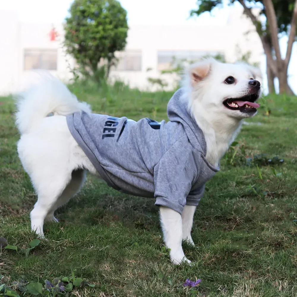 The delicate fabric feels soft against the skin, enhancing the overall comfort and appeal of the hoodie, making it a must-have for pets that need warmth and style.
