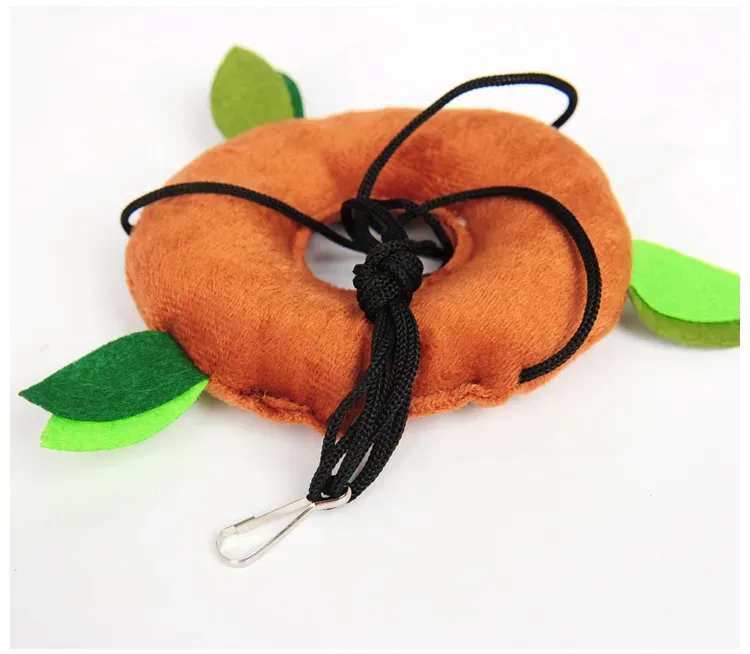 Hamster Cage Accessories