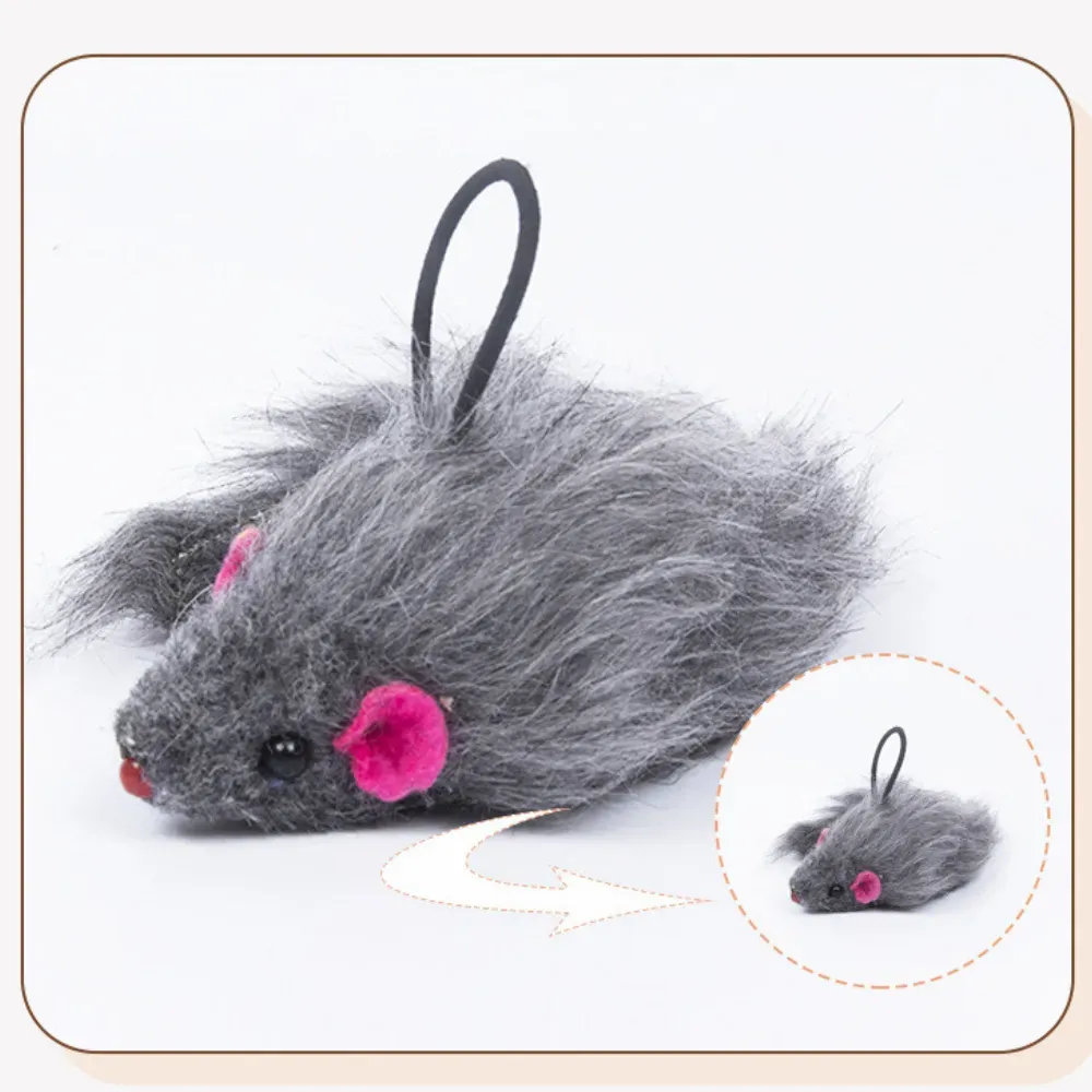 Hanging Cat Toys Hanging Cat Toys