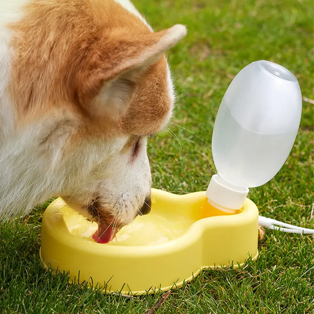 Dog Water Bottles