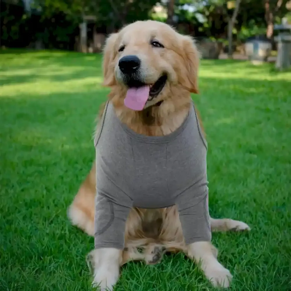 Dog Recovery Sleeves Wholesaler