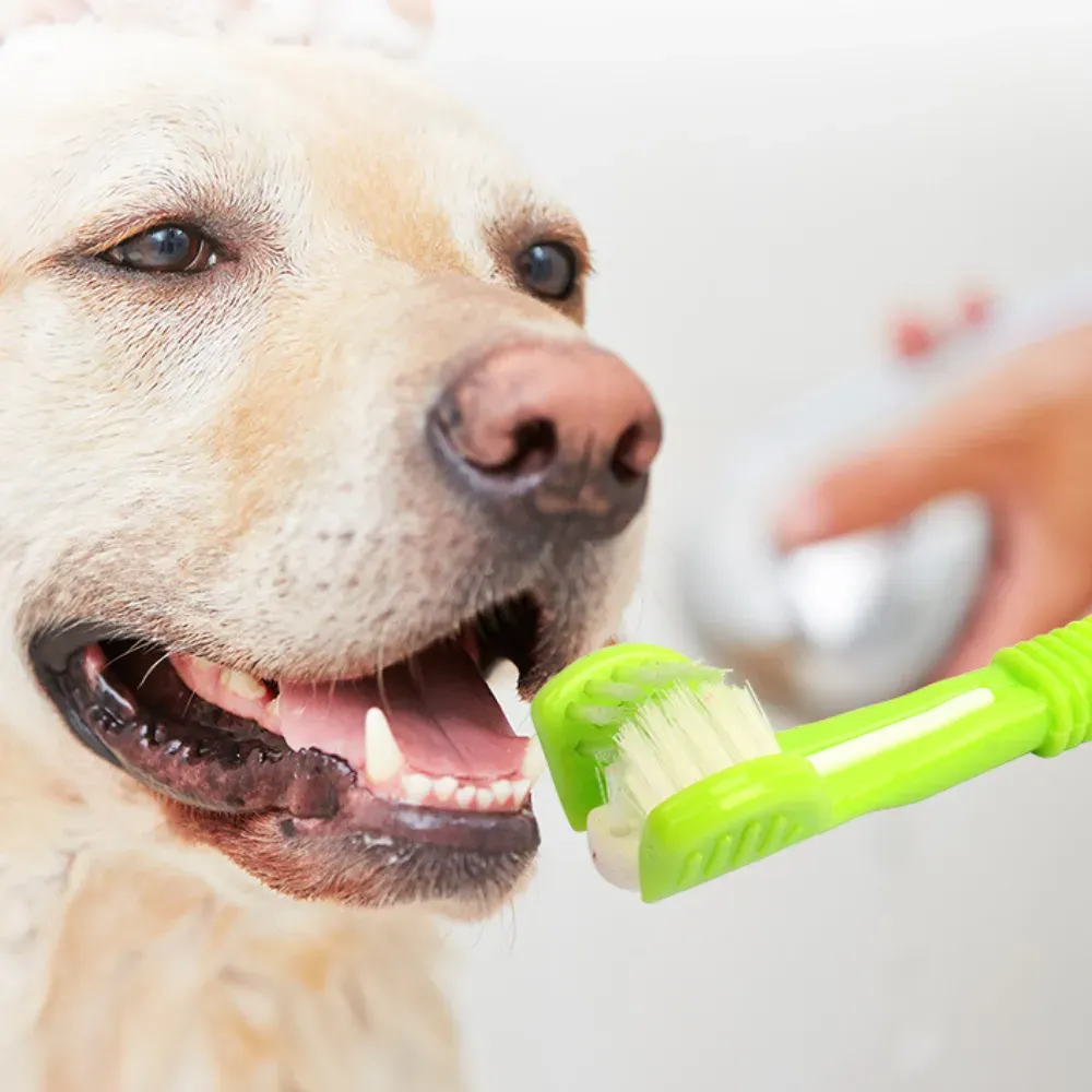 Dog Toothbrush Three Sided 