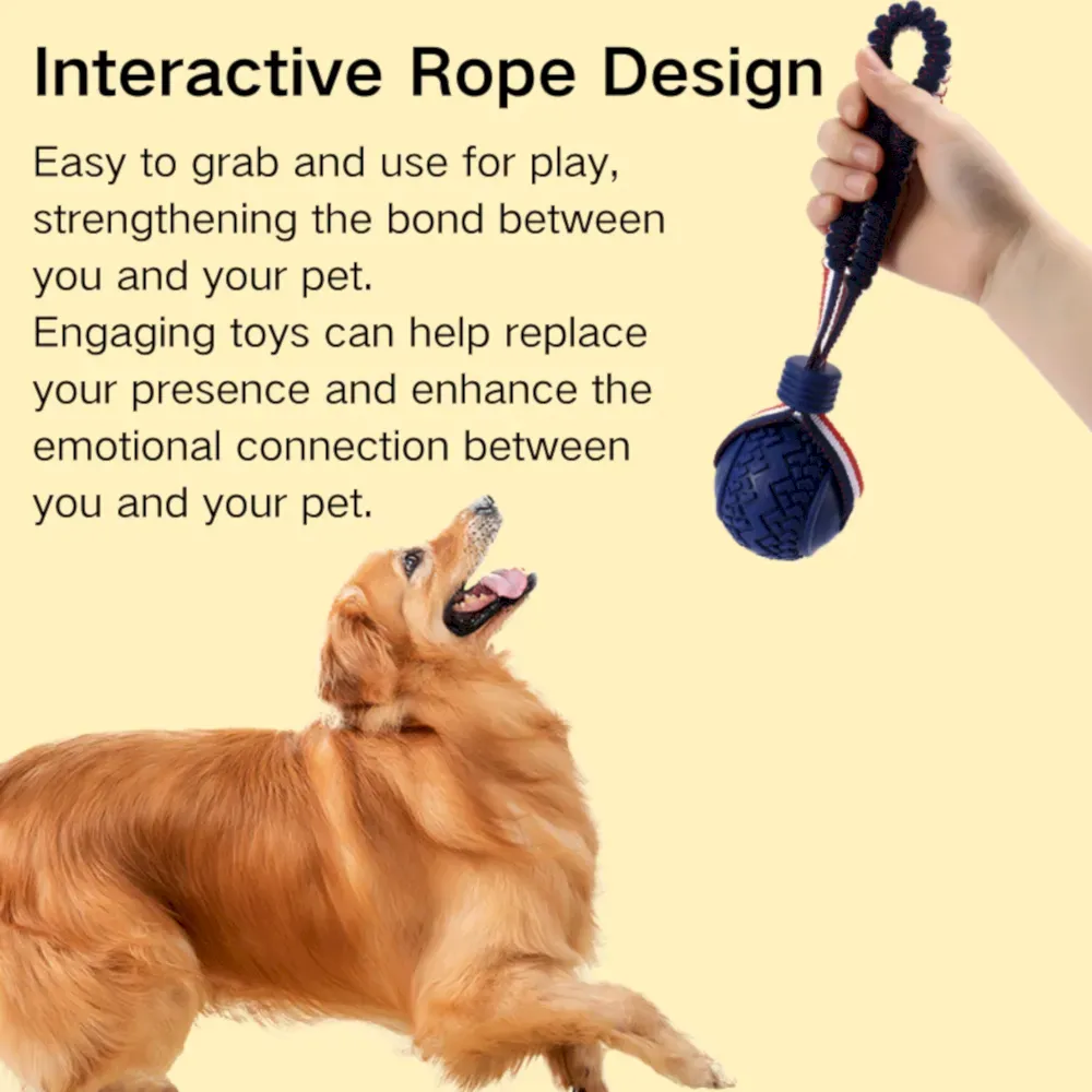 Tire shaped ball dog toy