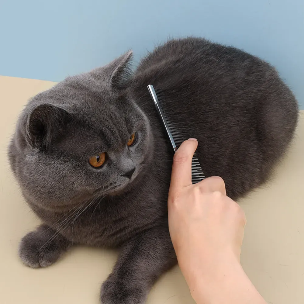 Rounded Corners Cat Comb