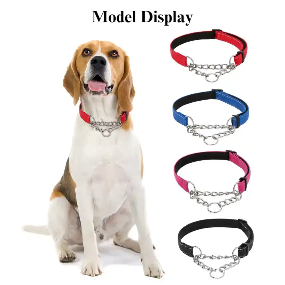 Stainless Steel Collar Suppliers