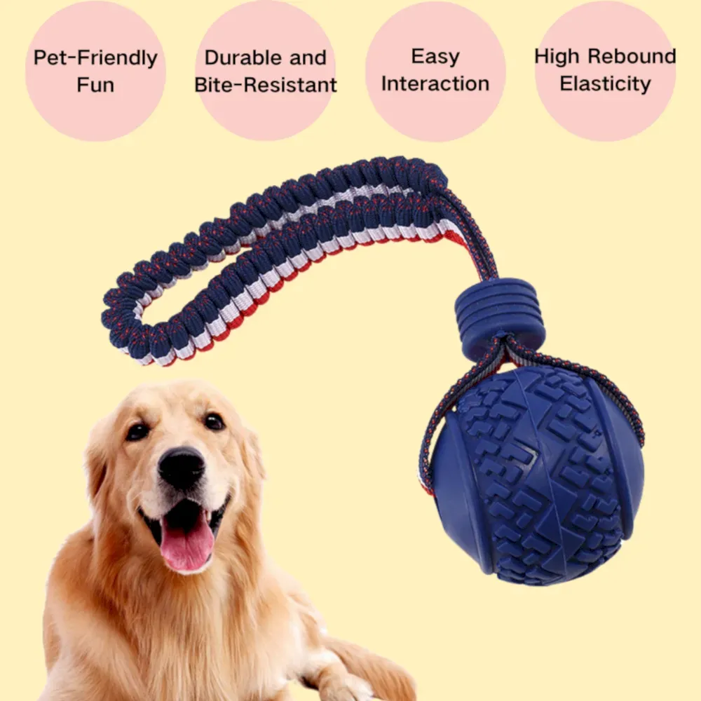 bungee rope dog toy