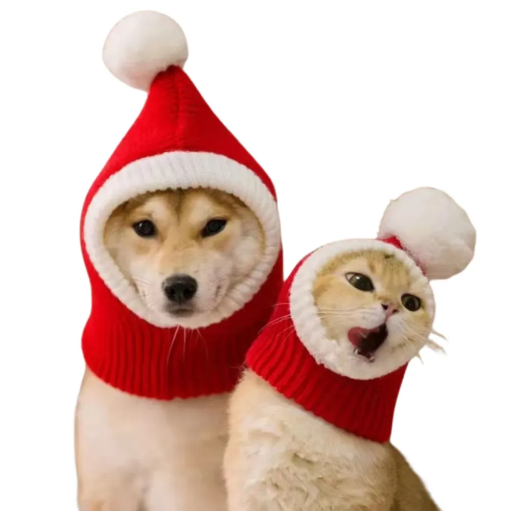 Dog Hat Knit Dog Hat Knit