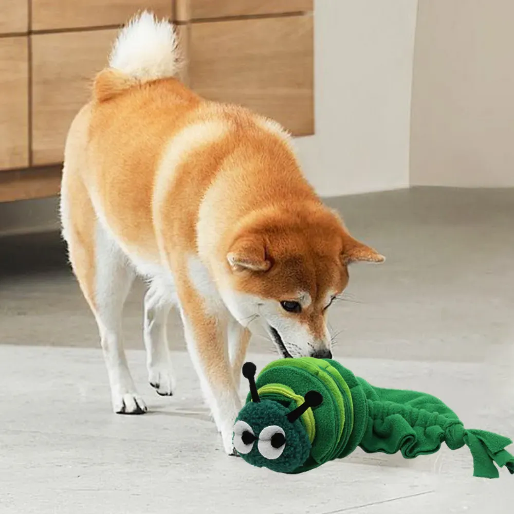 Caterpillar Sniffing and Teething Dog Chew Toy