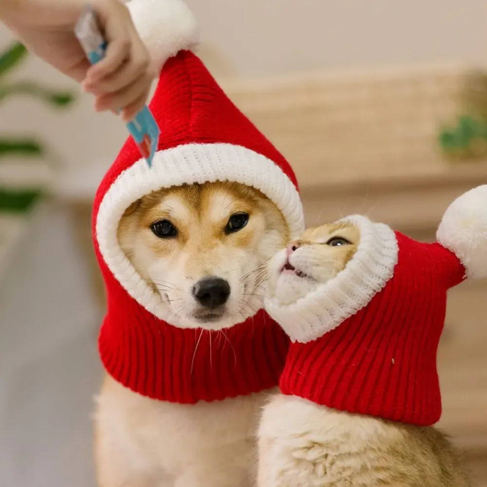 Red Warm Dog Hat Red Warm Dog Hat