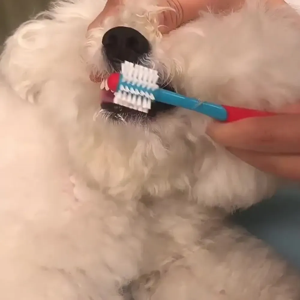 Soft-Bristled Dog Toothbrush