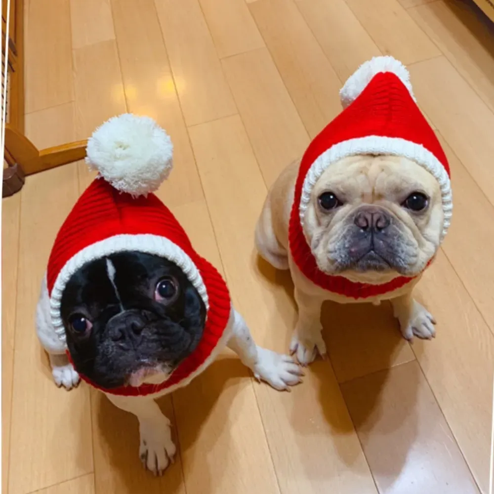 Christmas Dog Hat Christmas Dog Hat