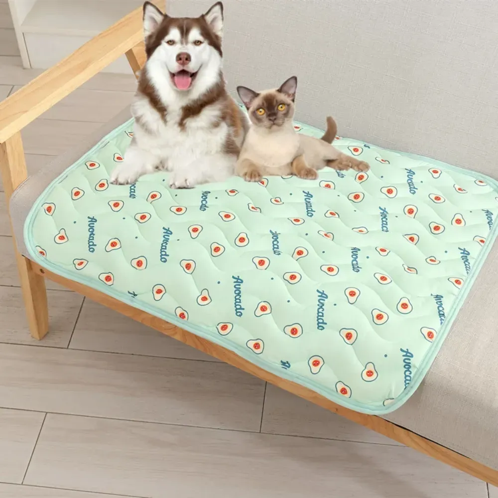 Cat summer mat wholesale