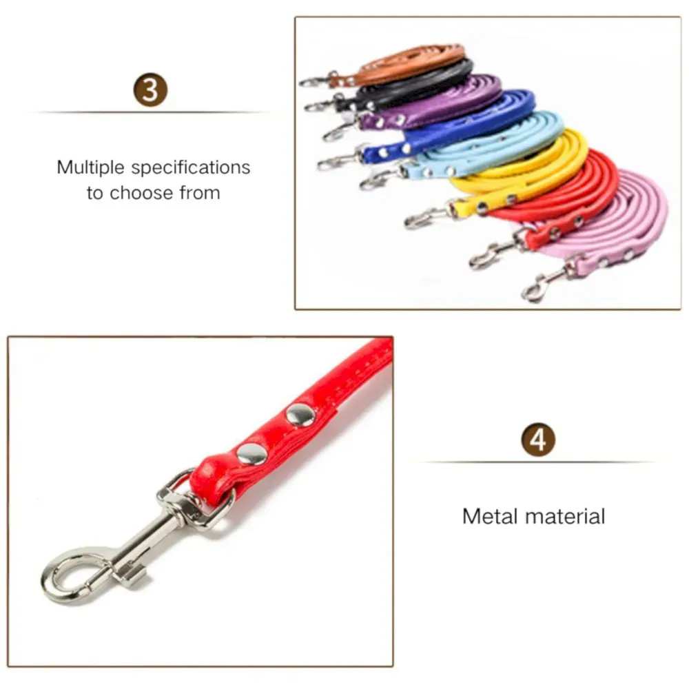 pet leash wholesale