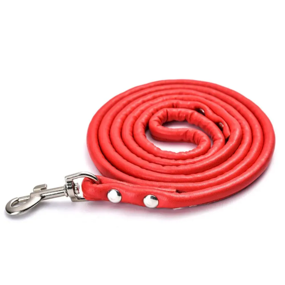 red pet leash